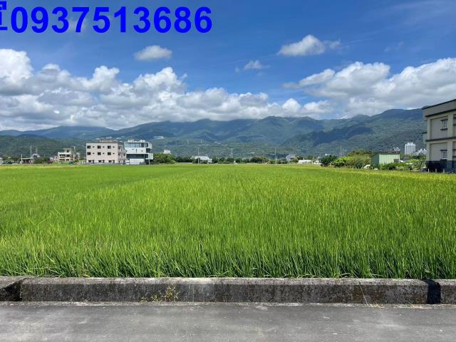 宜蘭縣礁溪鄉民權一段農地出售