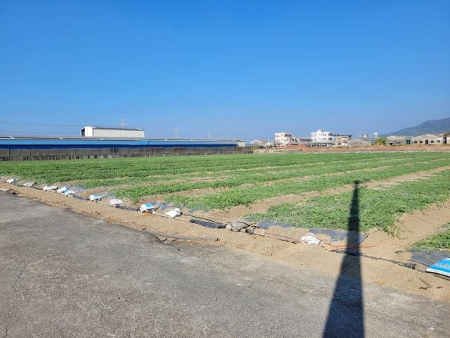 高雄農地-2