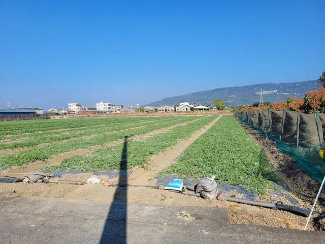 高雄農地-4