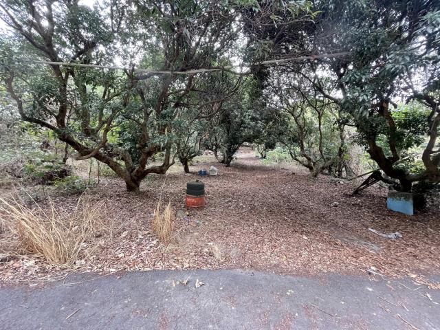 南投南投市農地-3