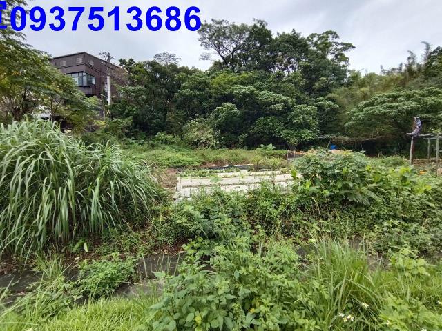 宜蘭蘇澳建地-0