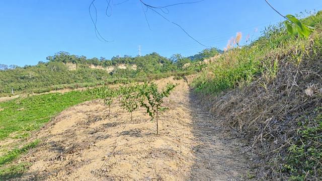 新竹北埔農地-4