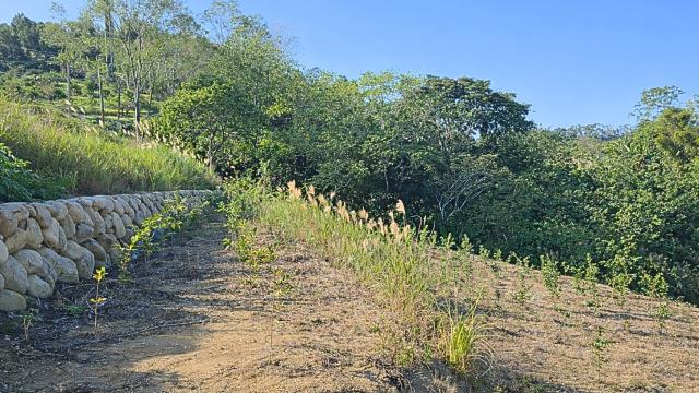 新竹北埔農地-5