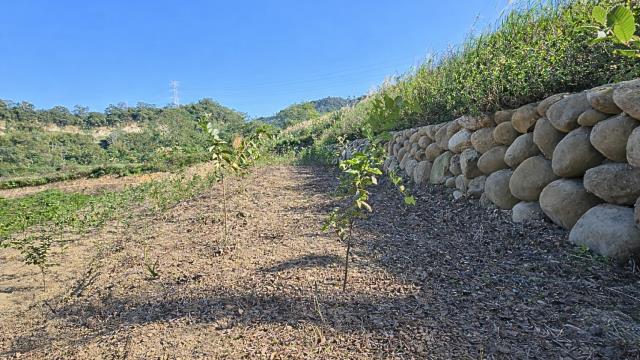 新竹北埔農地-8