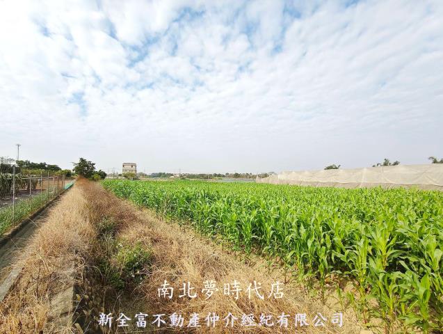 台南柳營農地-1
