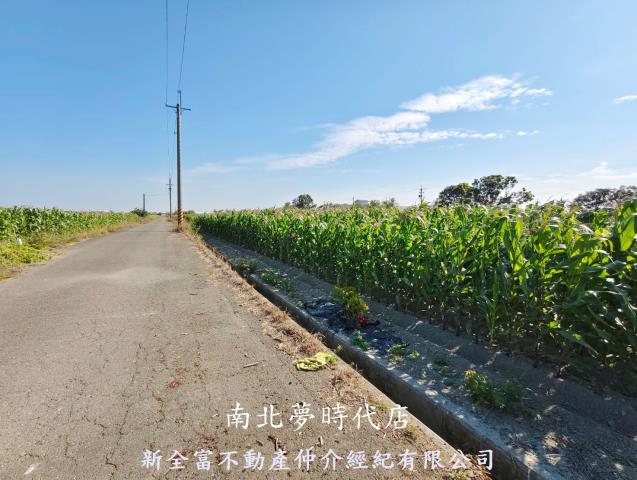 台南鹽水農地-4