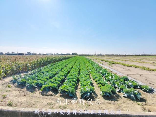 台南將軍農地-1