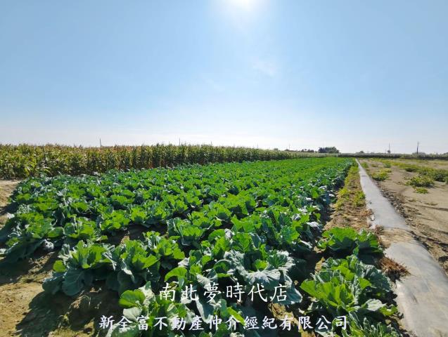 台南將軍農地-4