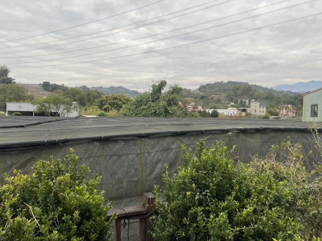 台中市東勢區東崎路四段蘭花園