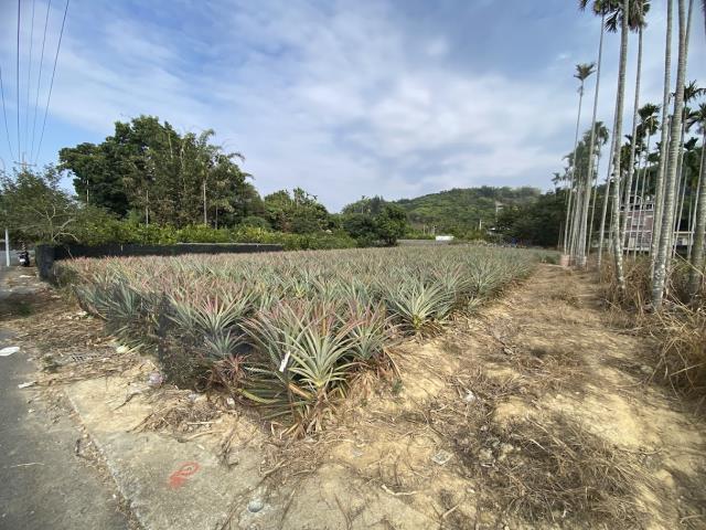 名間萬丹路農地