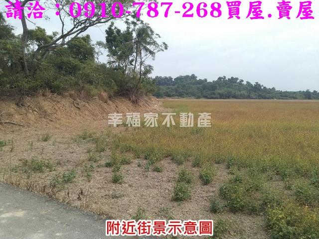 台南官田農地-0