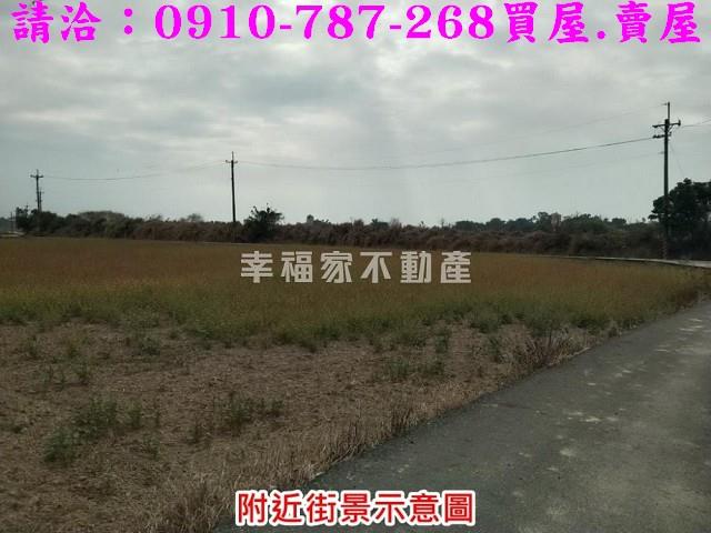 台南官田農地-1