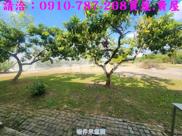 台南楠西農地-12