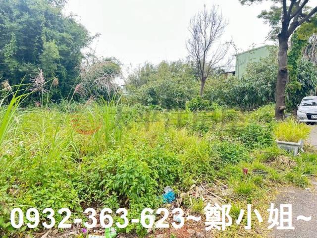 桃園八德農地-5