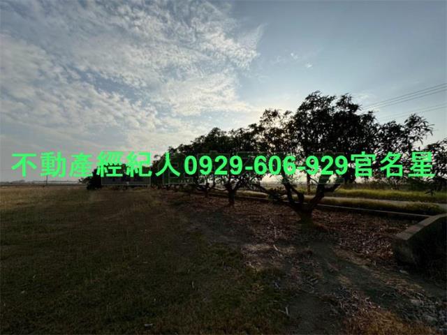 嘉義鹿草工業地-10