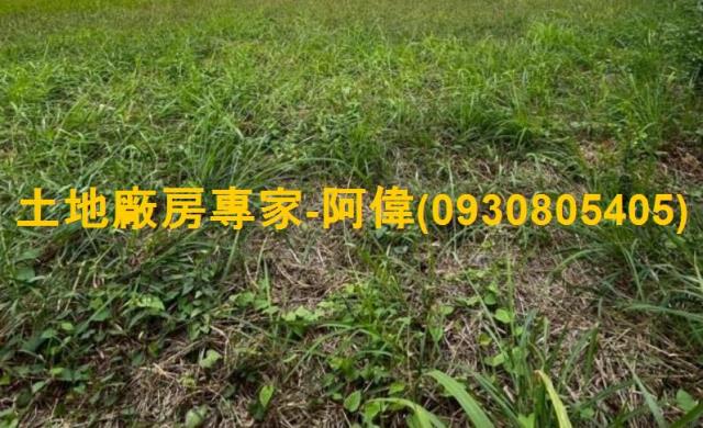 仁武區漂亮建地195坪出售