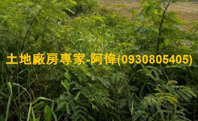 高雄仁武住宅地-0