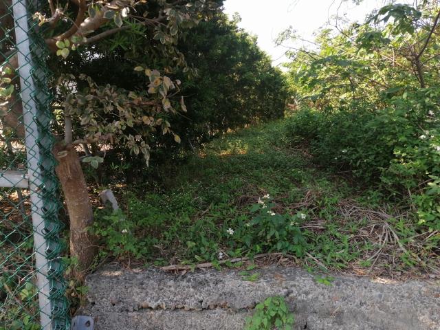 桃園中壢農地-1