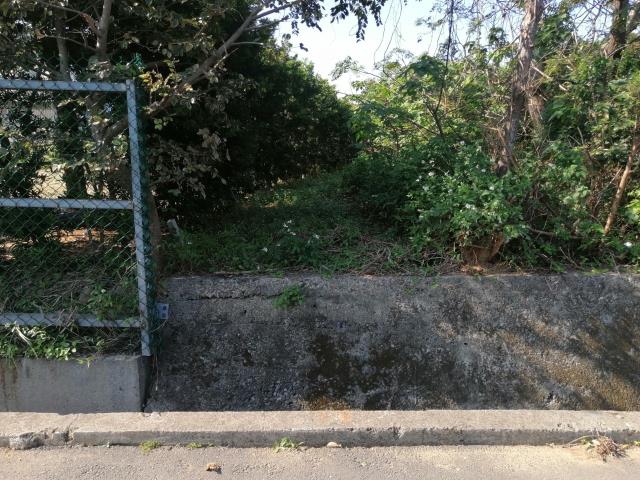 桃園中壢農地-3