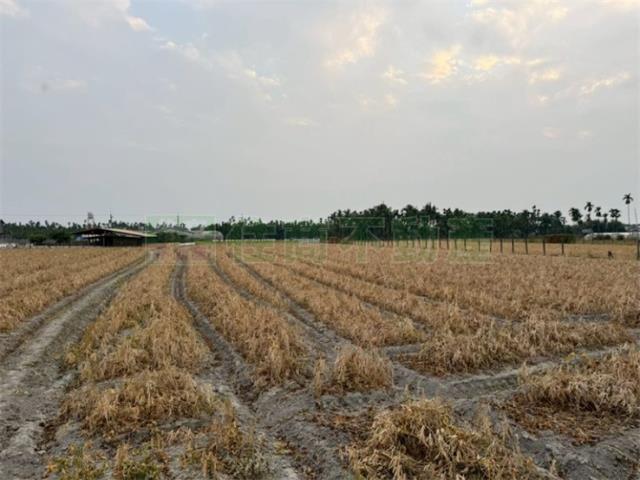 屏東屏東市農地-4