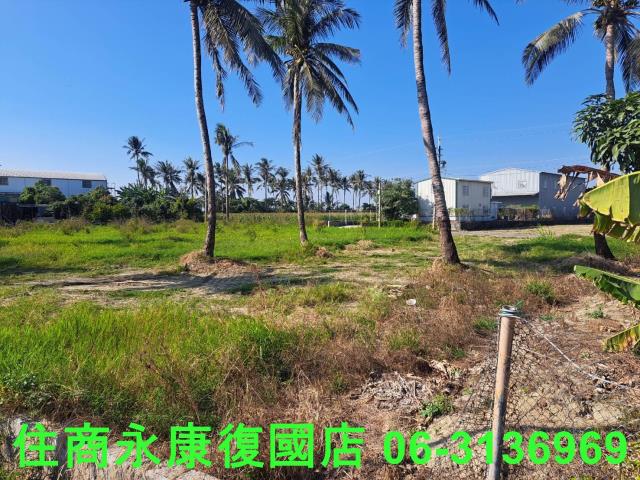台南西港農地-7