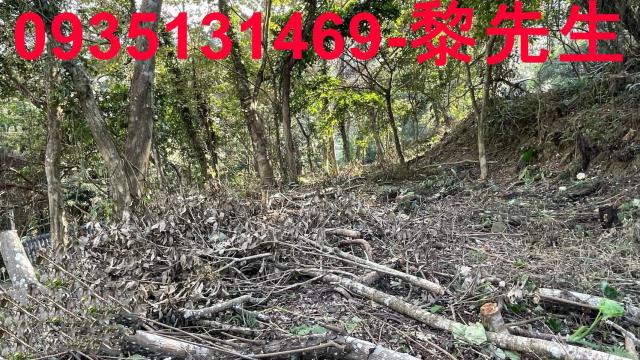 竹東土地竹東農地竹東林地