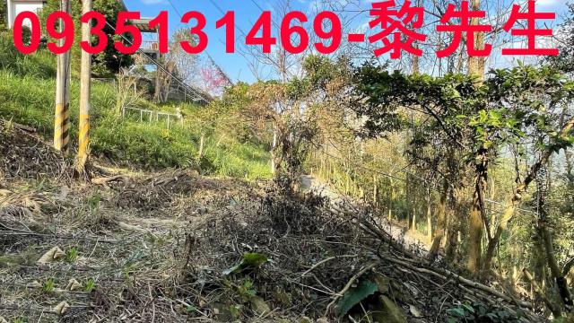 新竹土地竹東土地