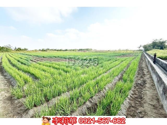 安南農地-3