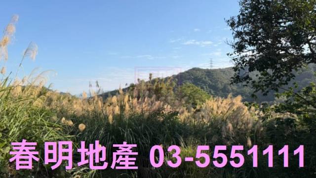 新埔農地-8