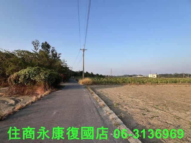 善化農地-5