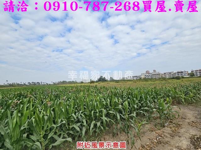 善化農地-13