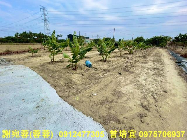 高雄農地-2