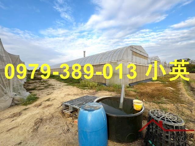 高雄路竹農地-4