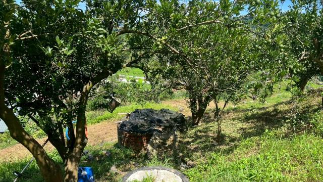 新竹峨眉農地-8