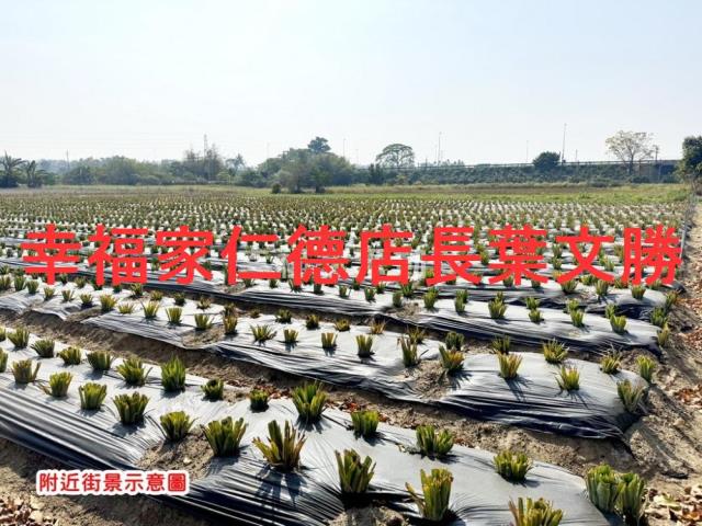 新市農地-9