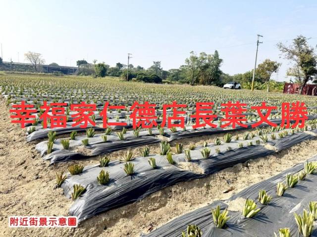 新市農地-10
