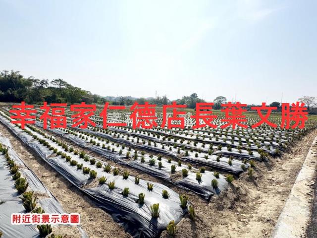 新市農地-11