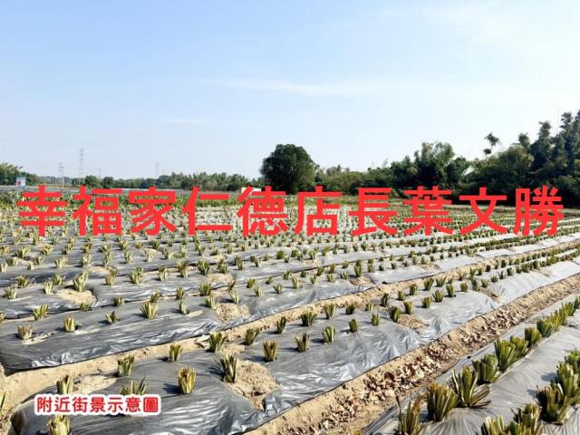 新市農地-2