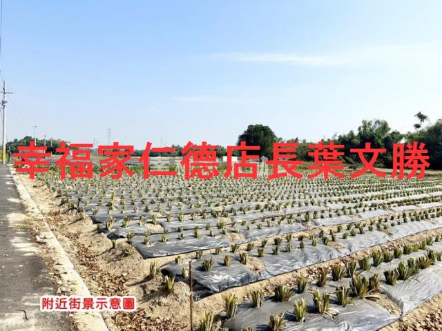 新市農地-6