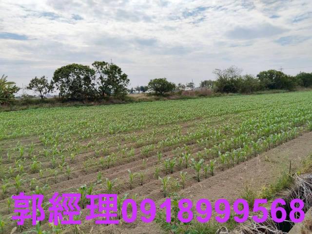 台南農地-3