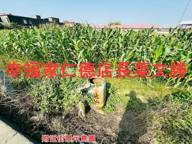 台南農地-6