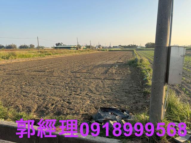 台南農地-10