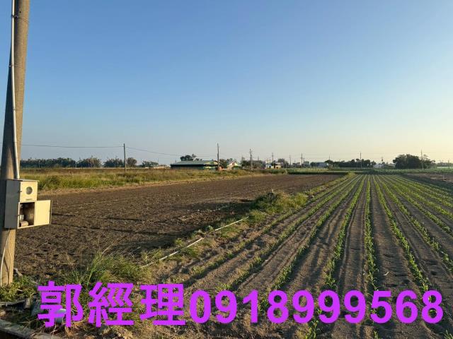 台南農地-6
