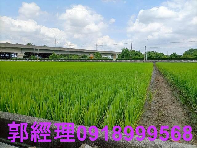 台南農地-3