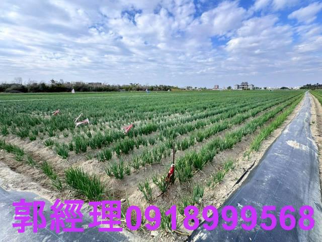 安南L鹿耳門聖母廟