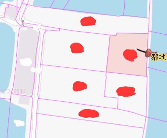 高雄湖內農地-10