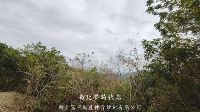 內門分龍眼林