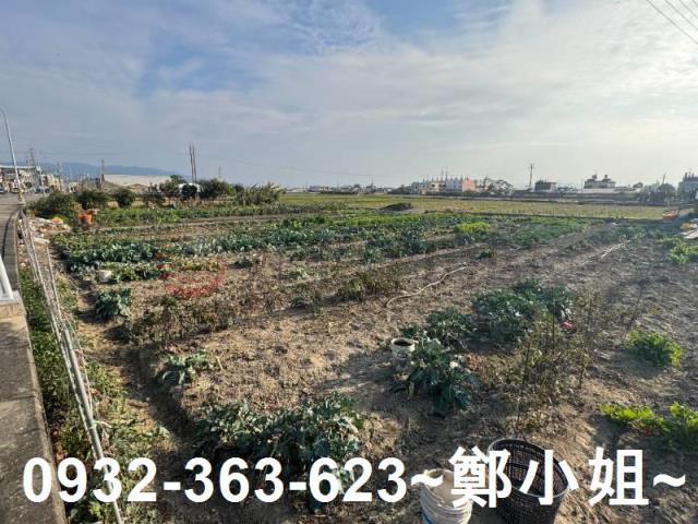 苗栗苑裡農地-8