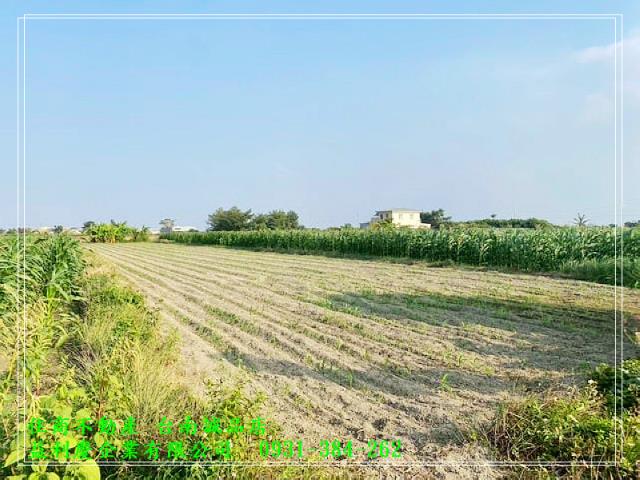 七股優質423坪農地