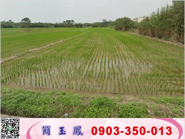 觀音工業區旁千坪交通用地工業地廠房買賣租賃